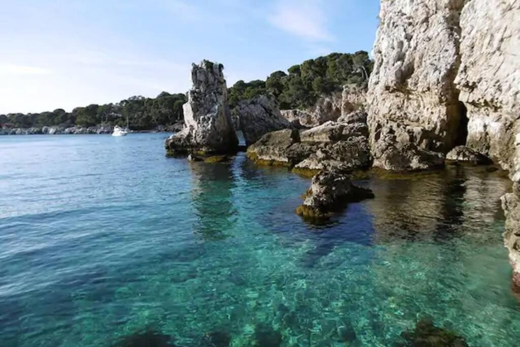 Coeur De Juan, Calme, 300M Plages - Easy Check-In Antibes Exterior foto