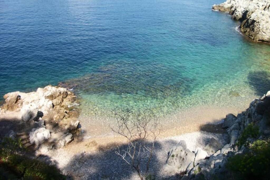 Coeur De Juan, Calme, 300M Plages - Easy Check-In Antibes Exterior foto